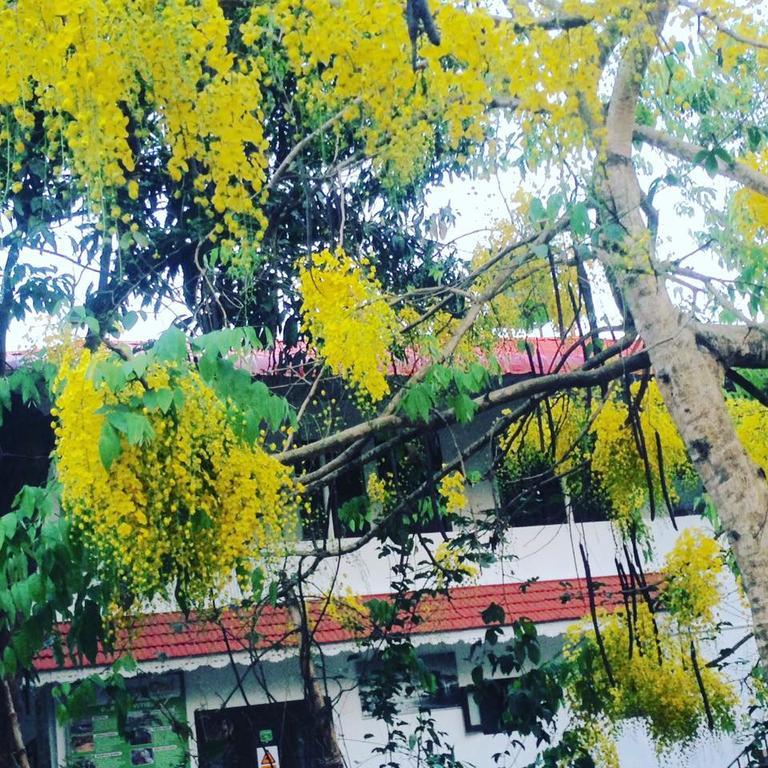 Green Leaf Home Stay Thekkady Exterior foto